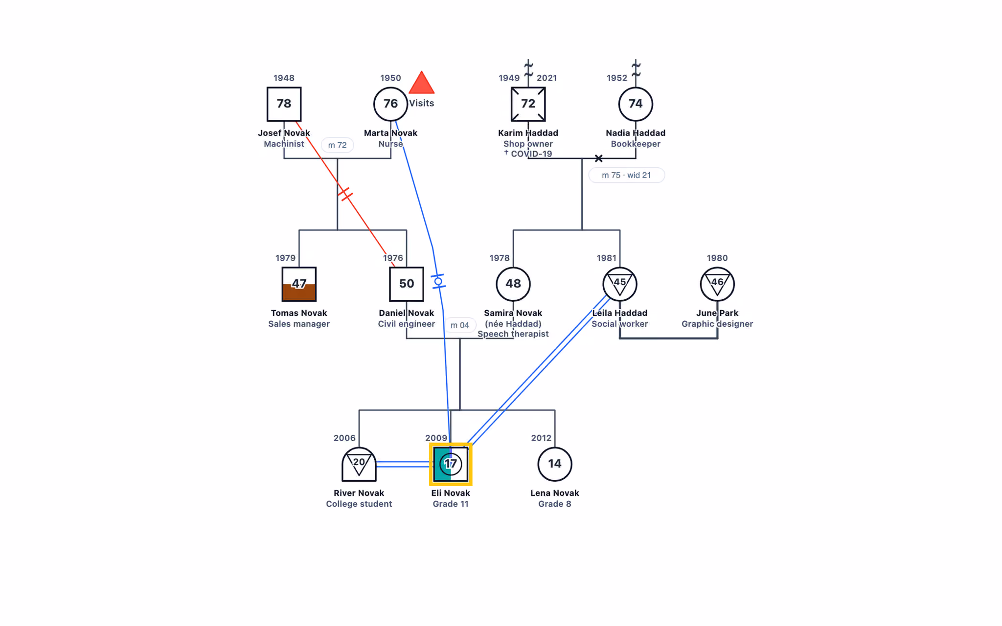 Gender Identity in the Family: Transgender and Nonbinary Members genogram example