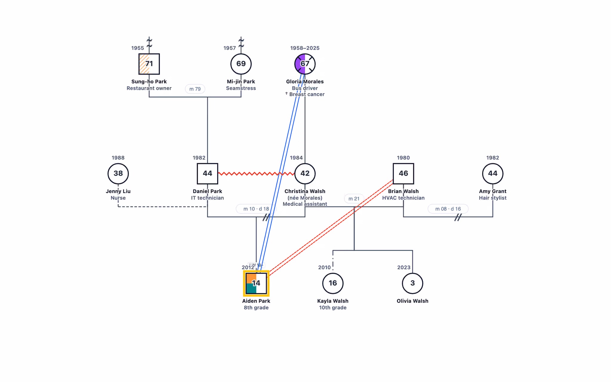 School Counselor Genogram: Student in Two Households example