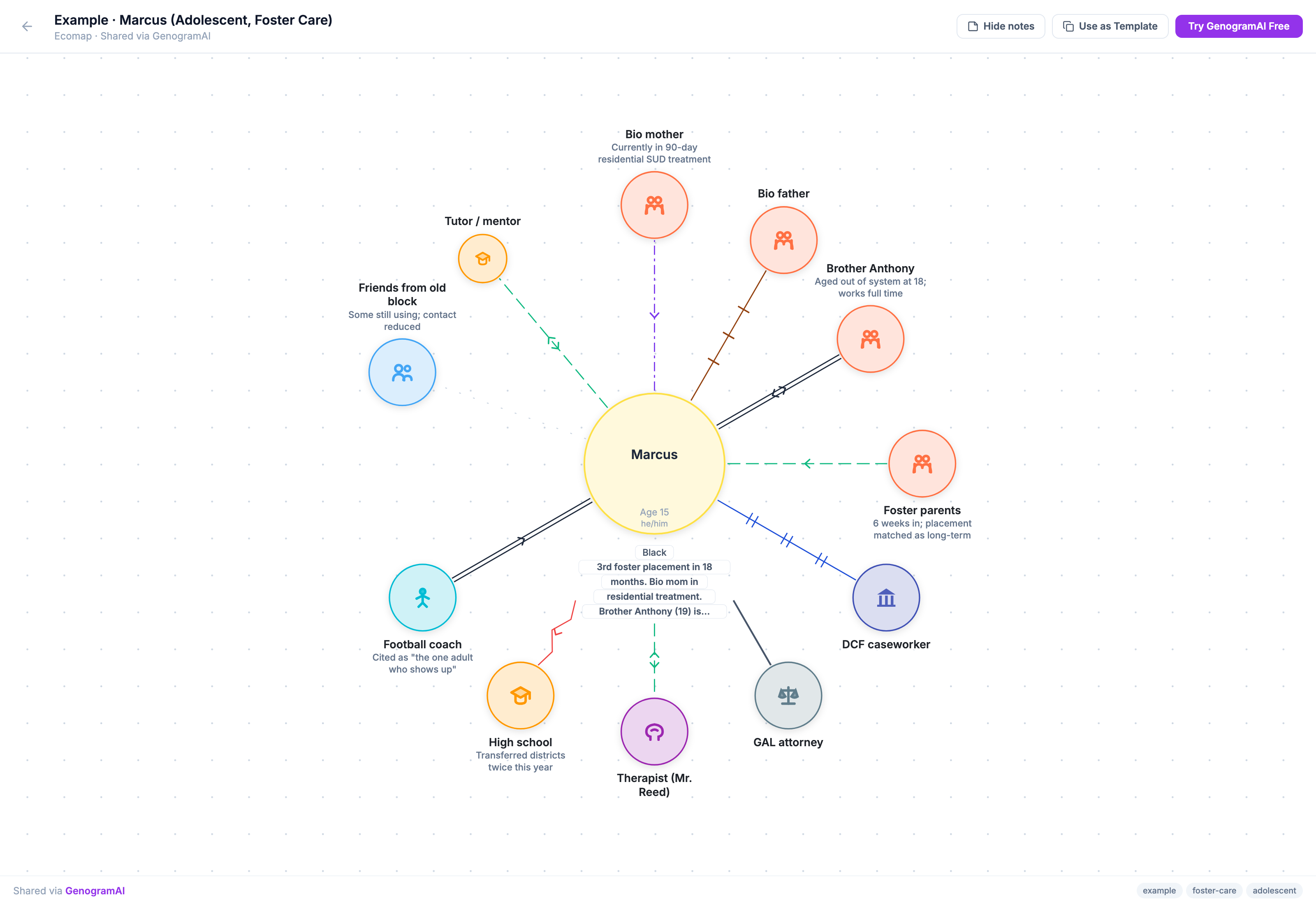 Eco-map example: adolescent in foster care with school, caseworker and family connections