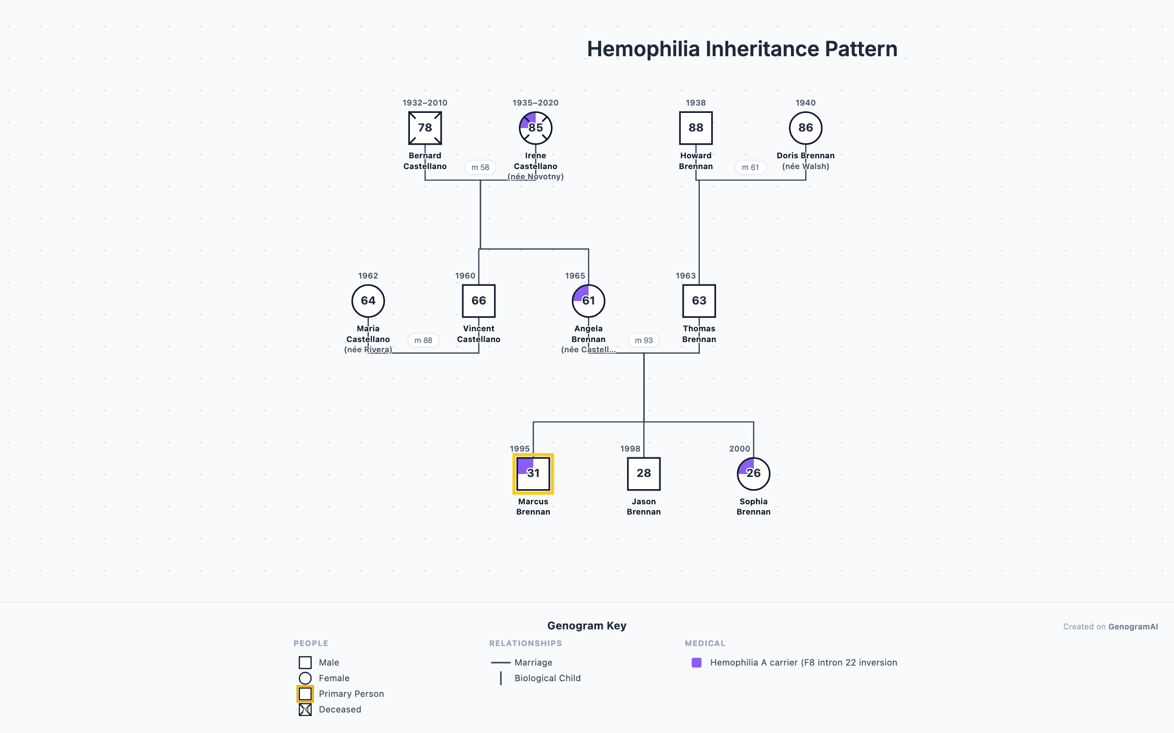 Genogram example: Hemophilia Inheritance Pattern