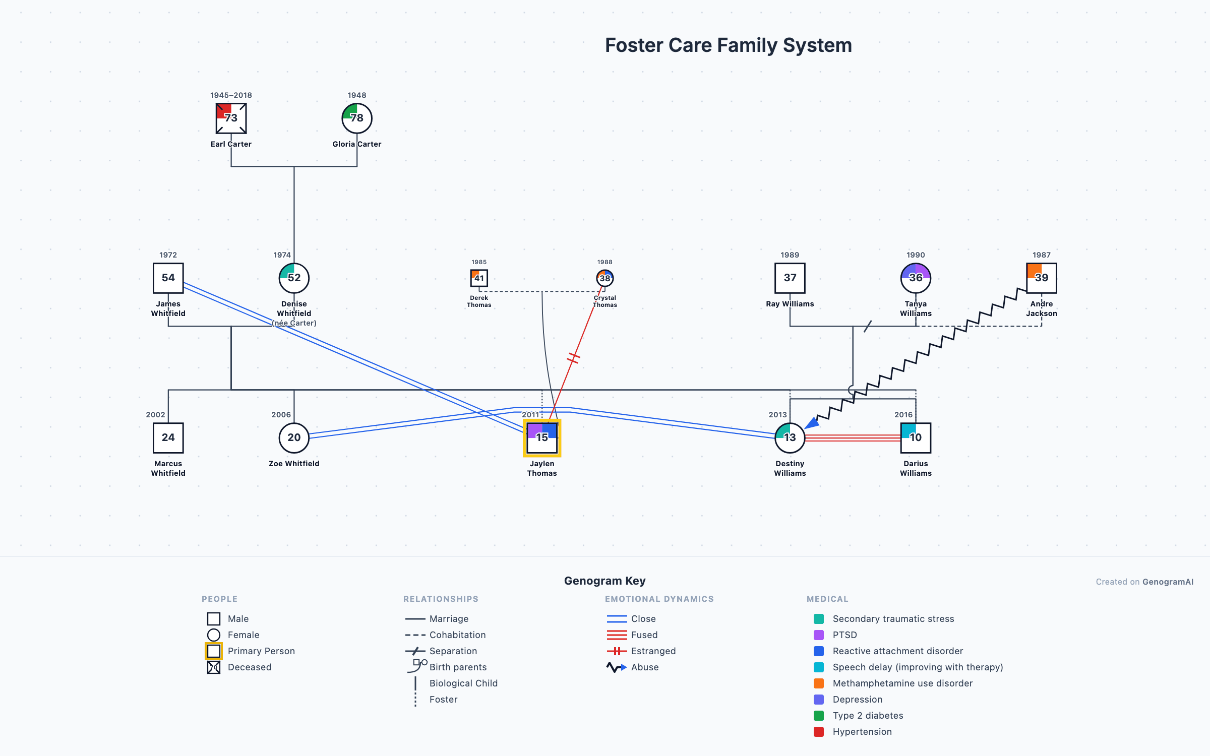 Genogram example: Foster Care Family System