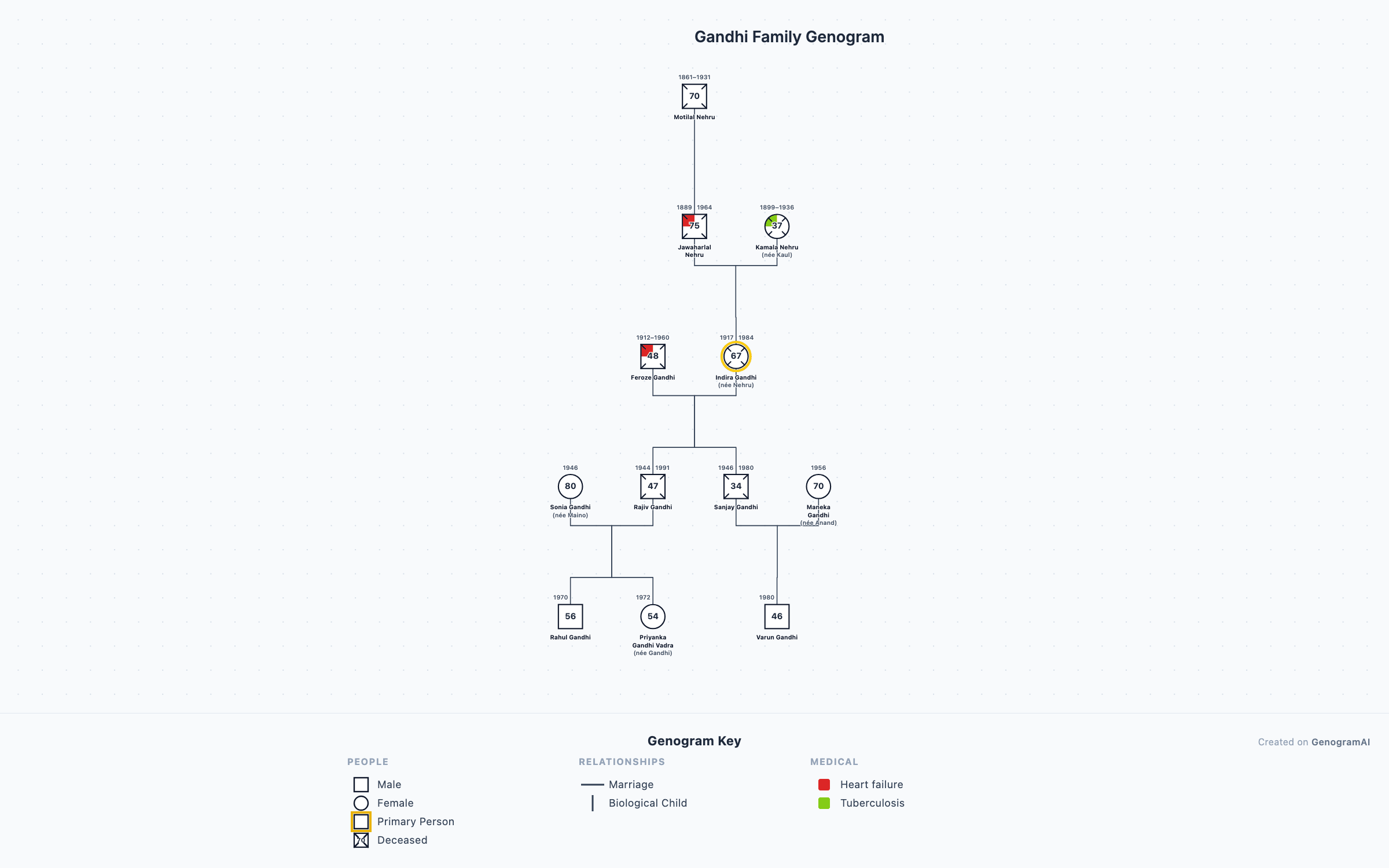 Gandhi Family Genogram genogram
