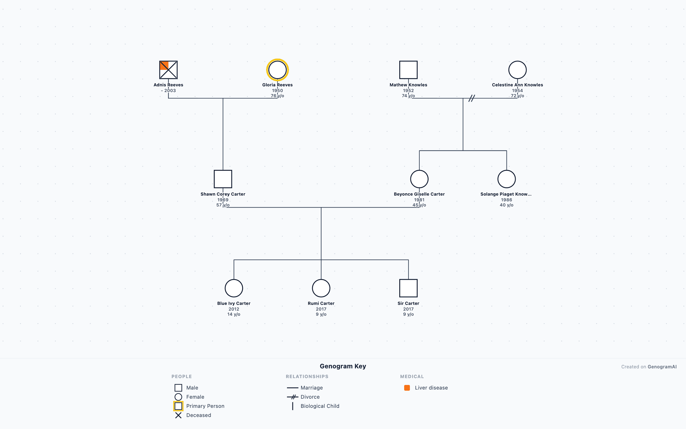 Jay-Z & Beyonce Genogram | GenogramAI