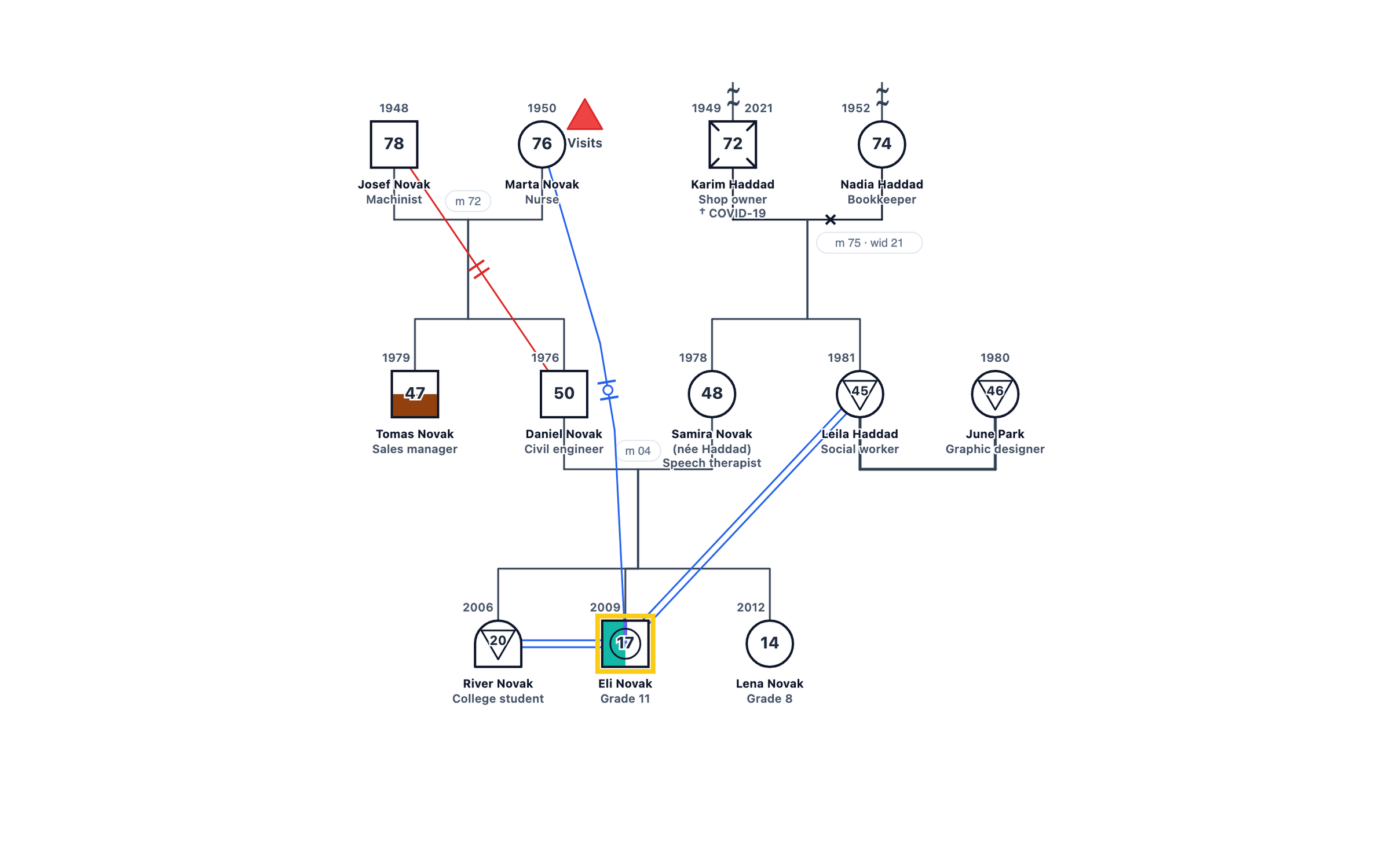 Gender Identity in the Family: Transgender and Nonbinary Members genogram