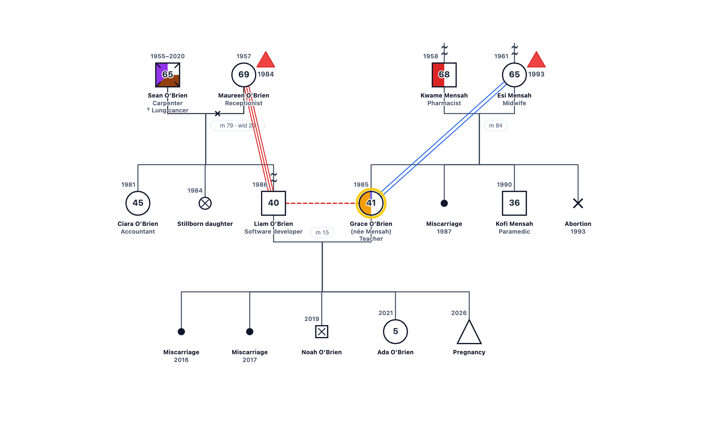 Genogram example: Pregnancy Loss and Infertility Across Generations