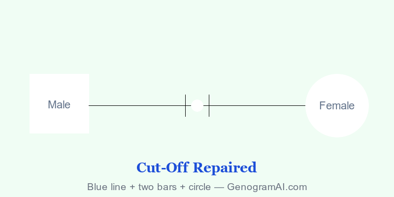 Genogram cut-off repaired symbol showing broken line with green bridge