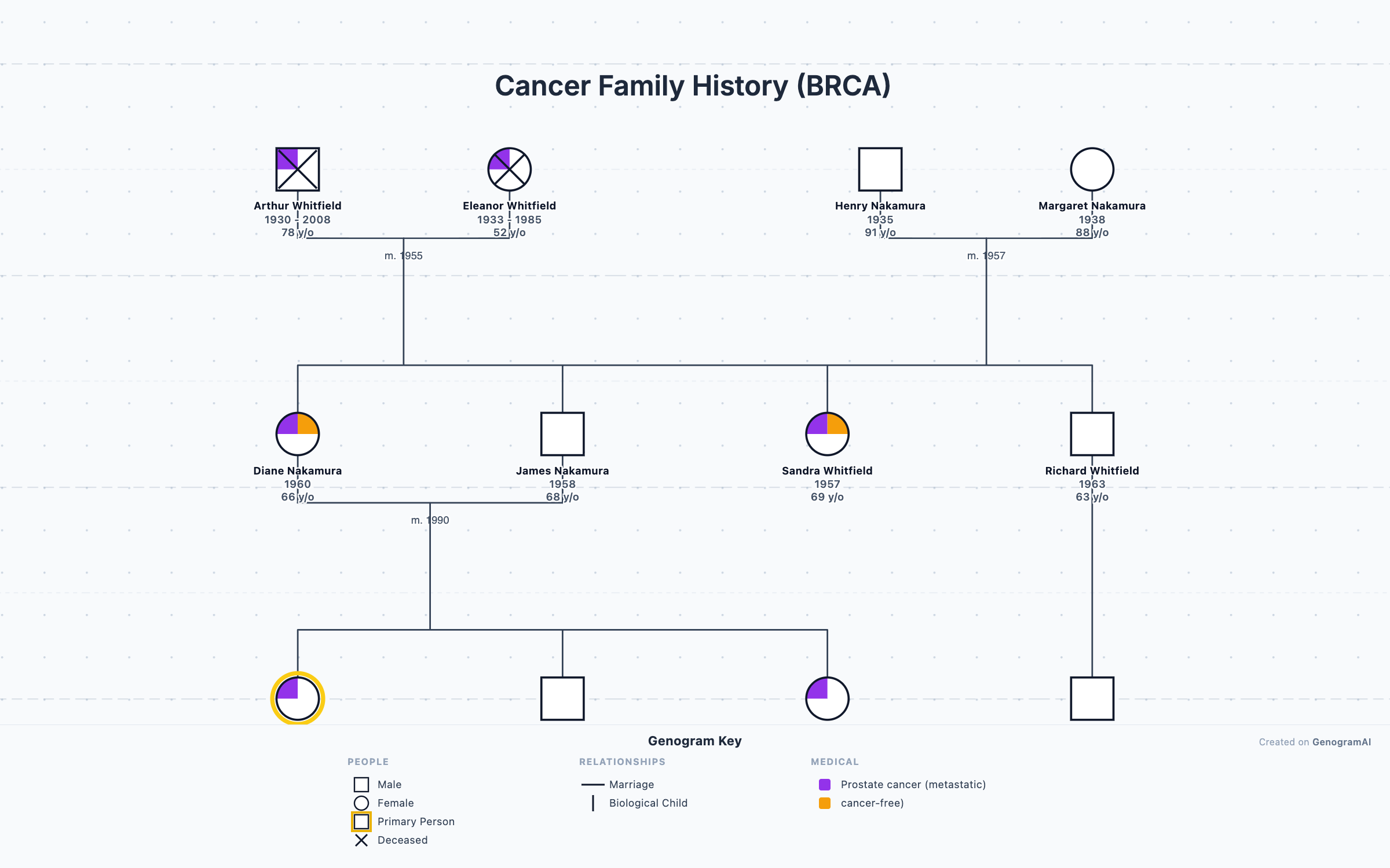 Cancer Family History (BRCA)