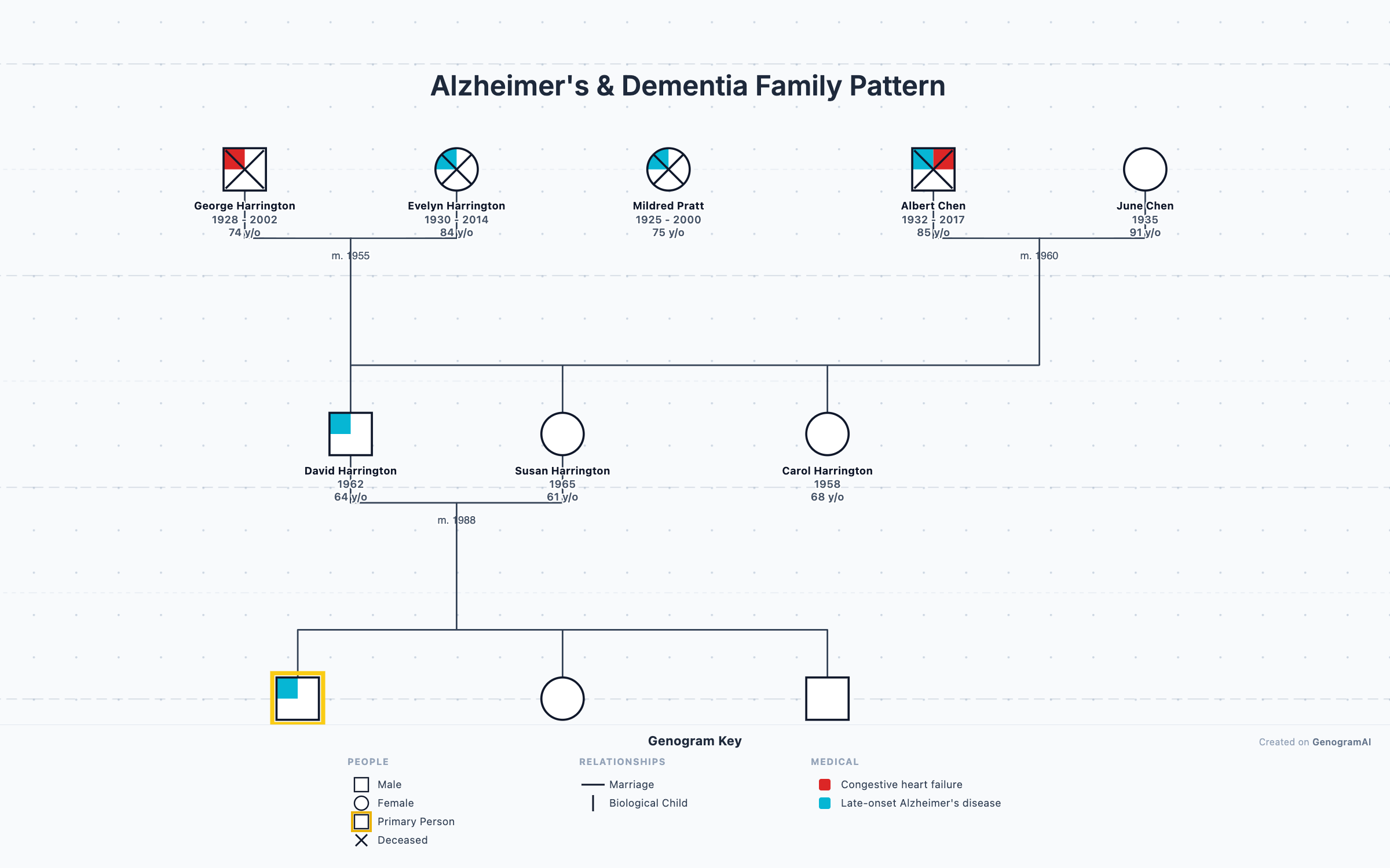Alzheimer's & Dementia Family Pattern