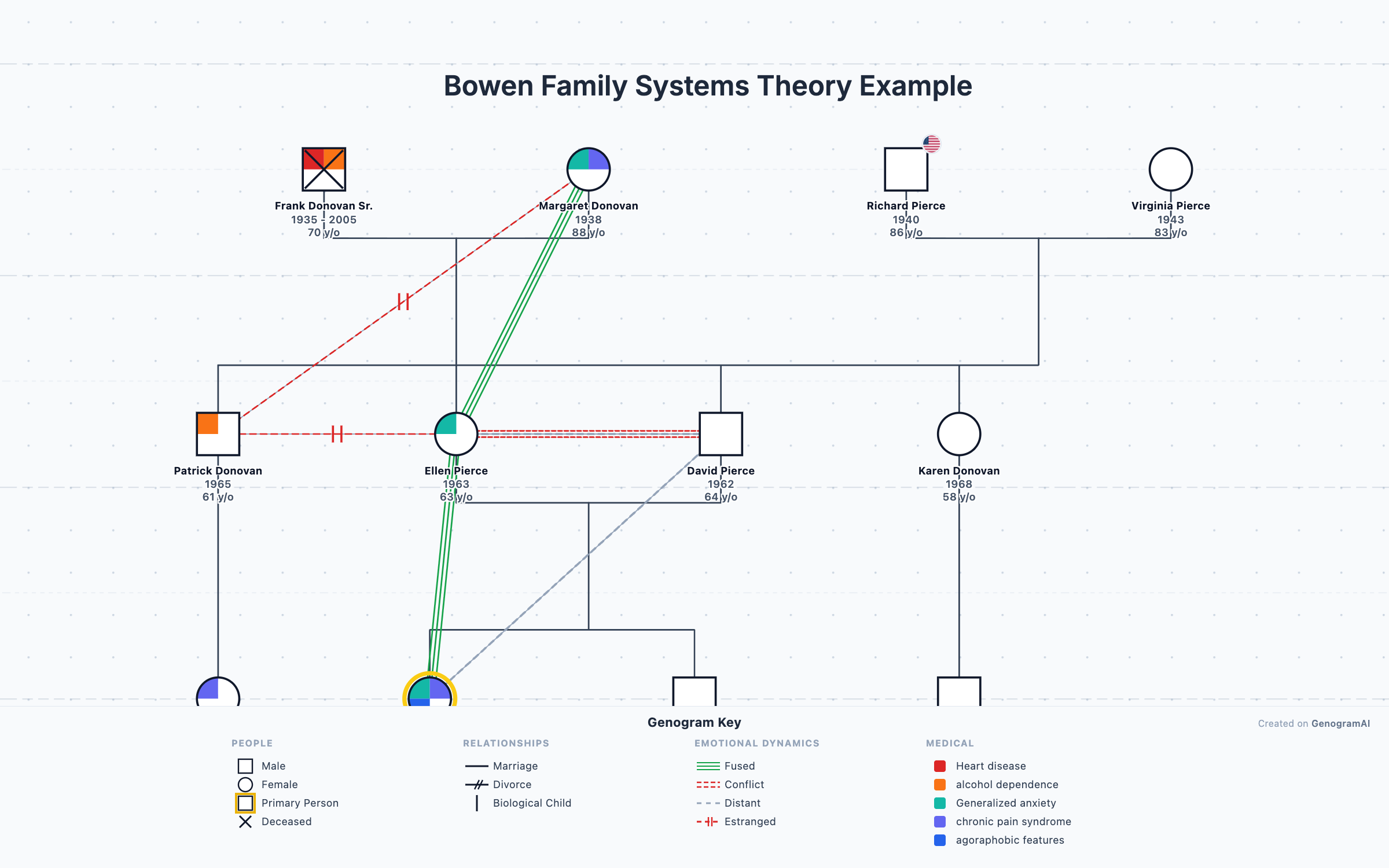 Bowen Family Systems Theory Example